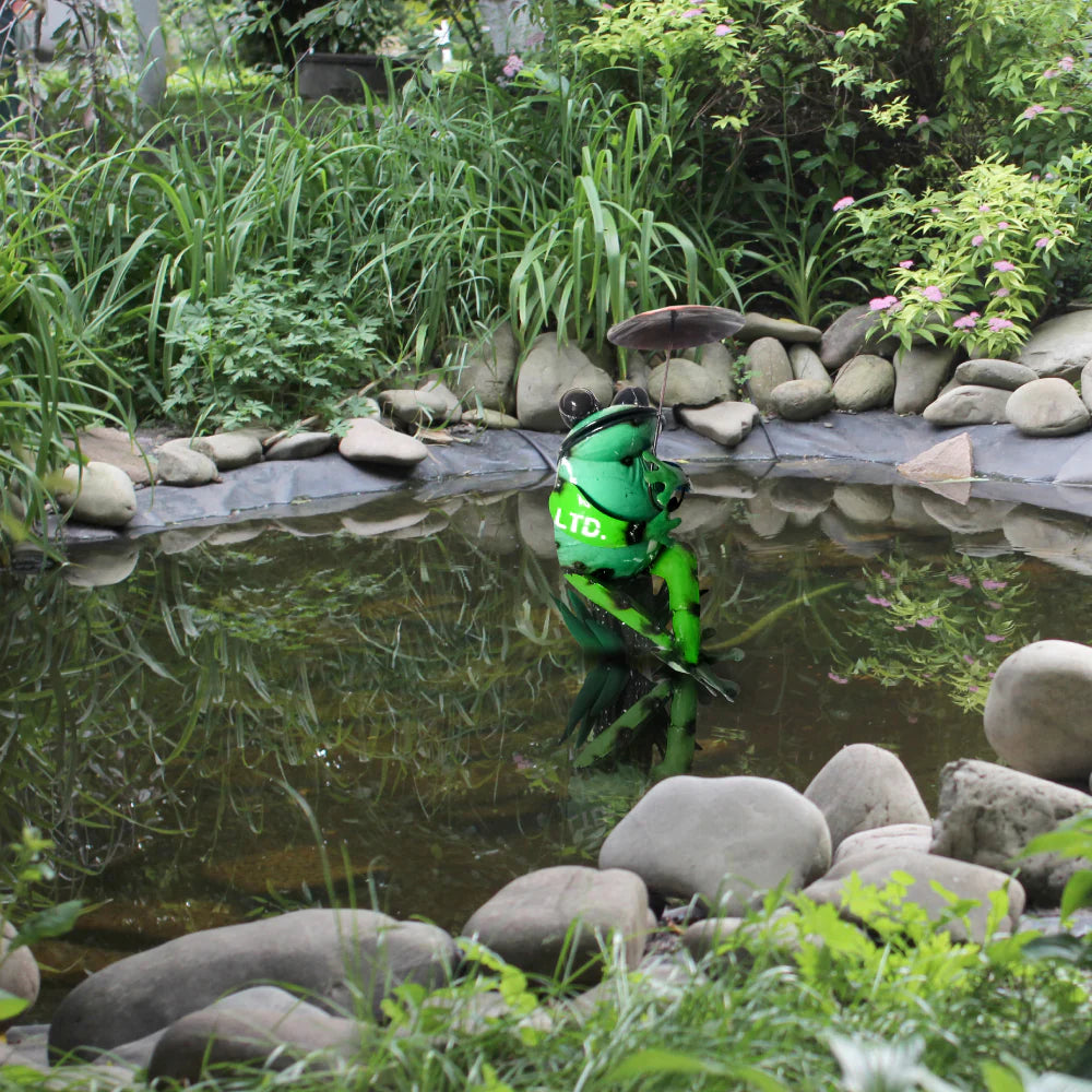 Cross-Legged Frog on a Leaf