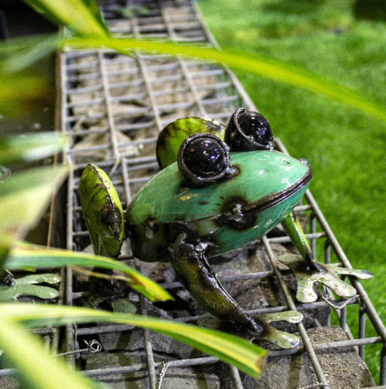 Pad me Pond Frog