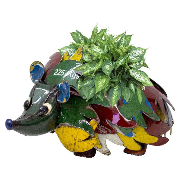 Hedgehog Planter