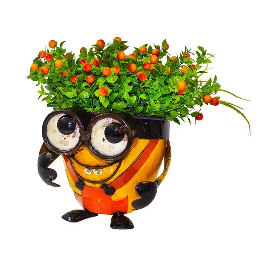 Crazy Me Pot – Look Up