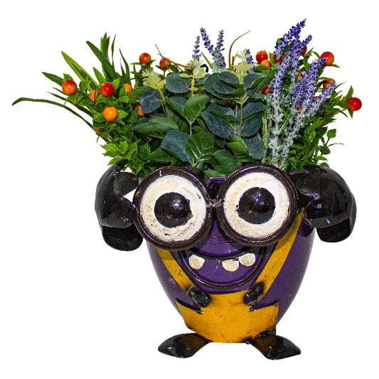 Crazy Me Pot – Look Straight