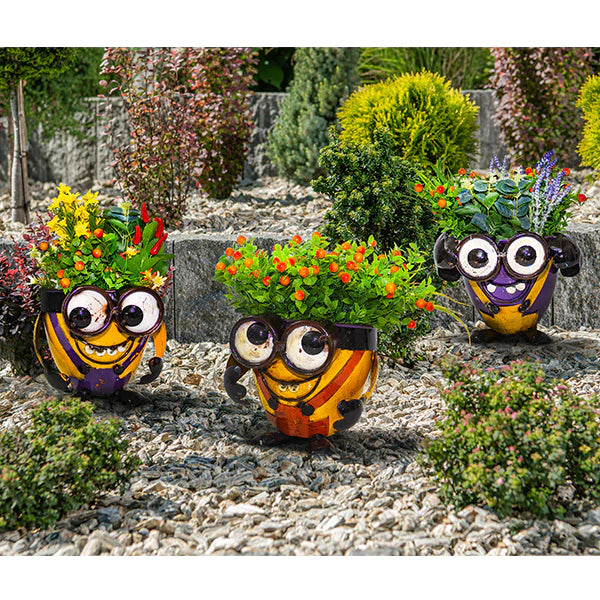 Crazy Me Pot – Look Down