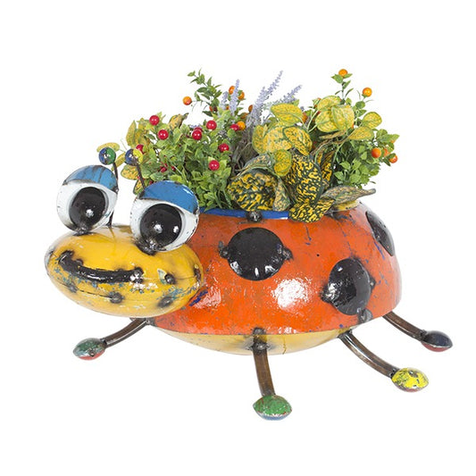Lilly the Lady Bug Planter